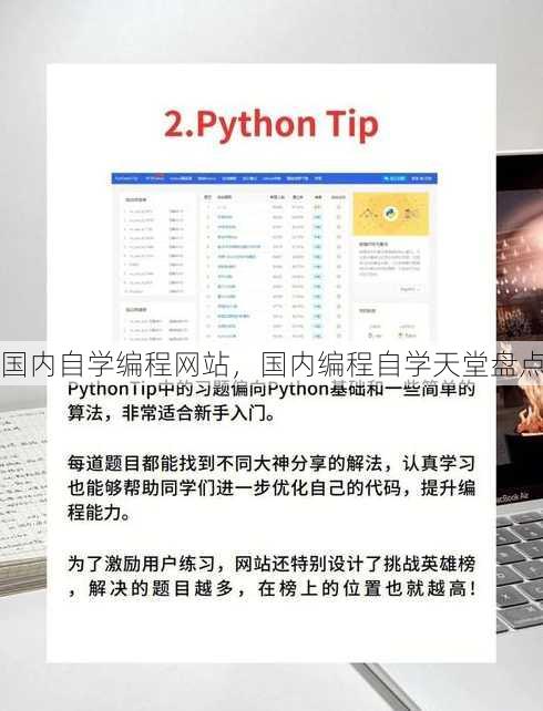 国内自学编程网站