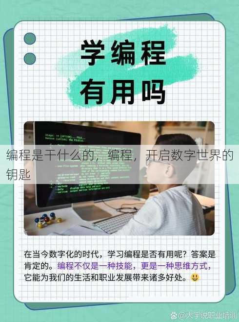 编程是干什么的