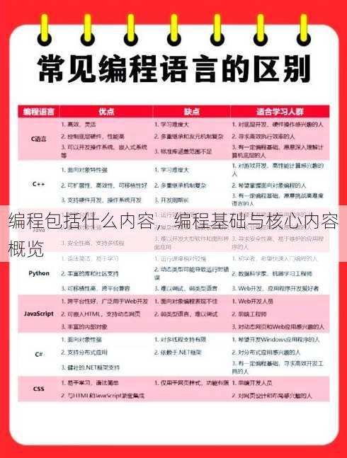 编程包括什么内容