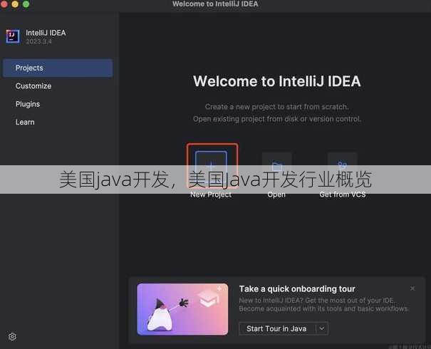 美国java开发