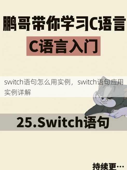 switch语句怎么用实例