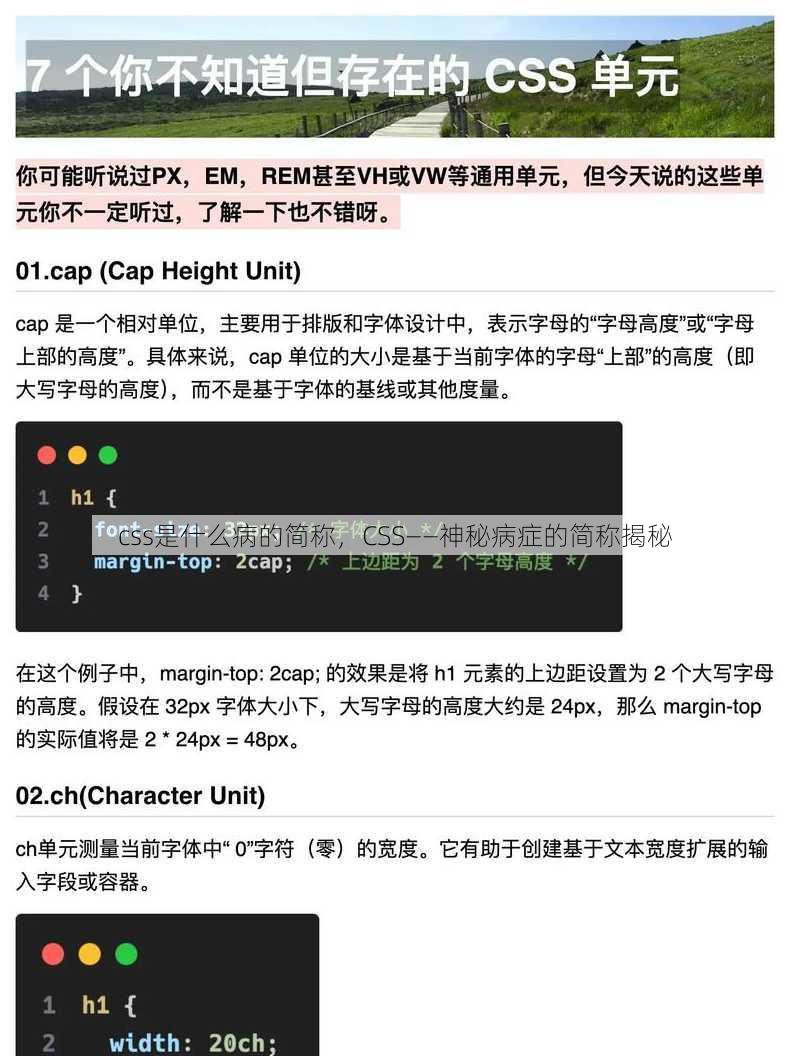 css是什么病的简称