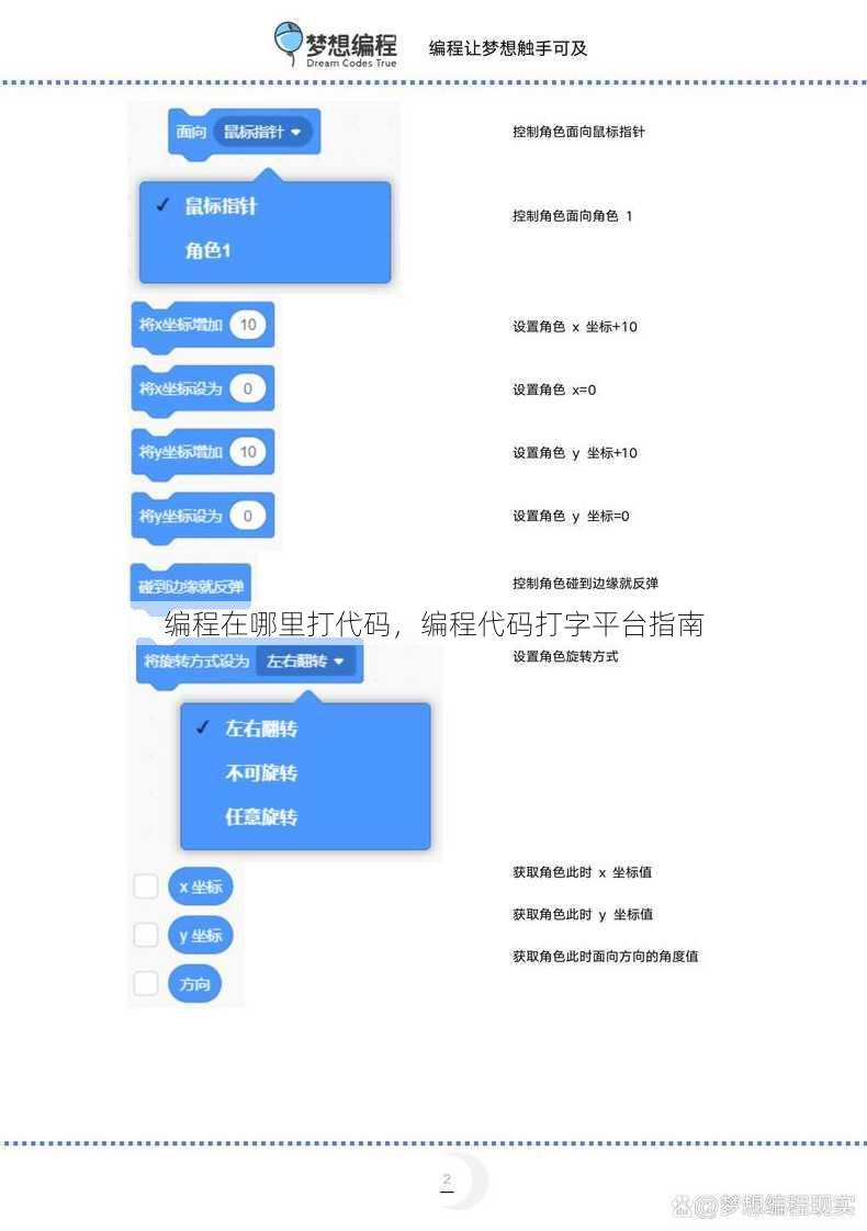 编程在哪里打代码