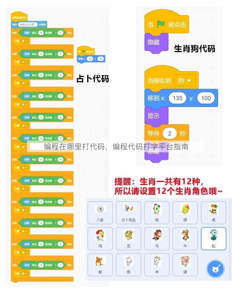 编程在哪里打代码