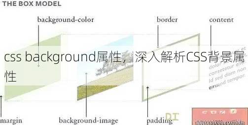 css background属性