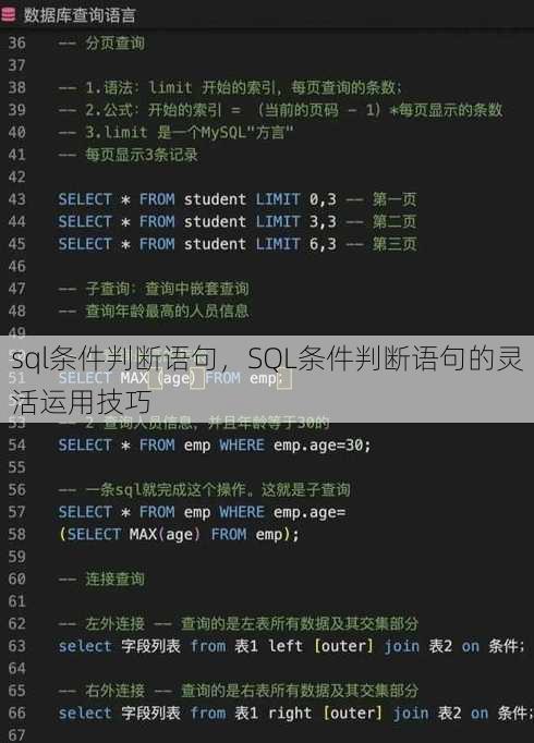 sql条件判断语句