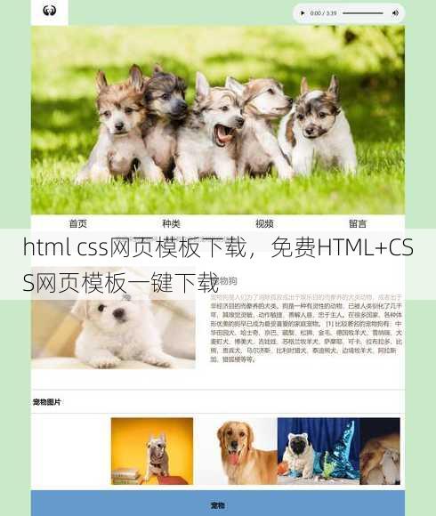html css网页模板下载