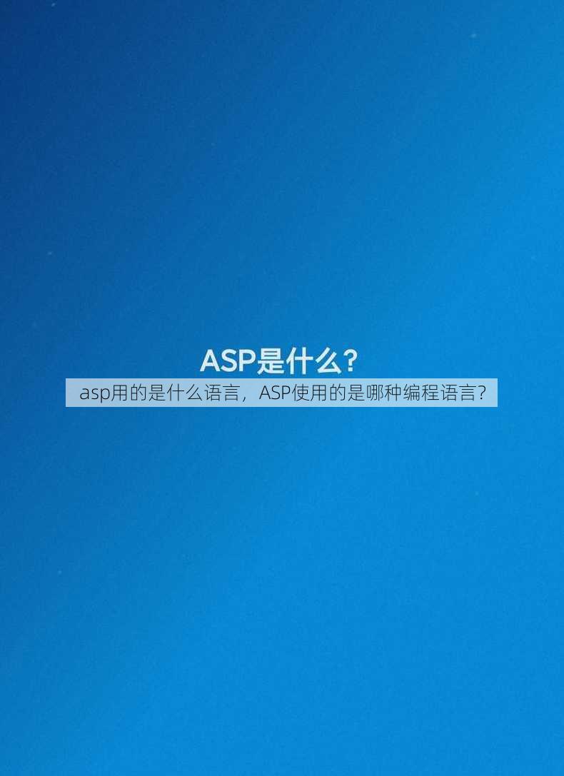asp用的是什么语言