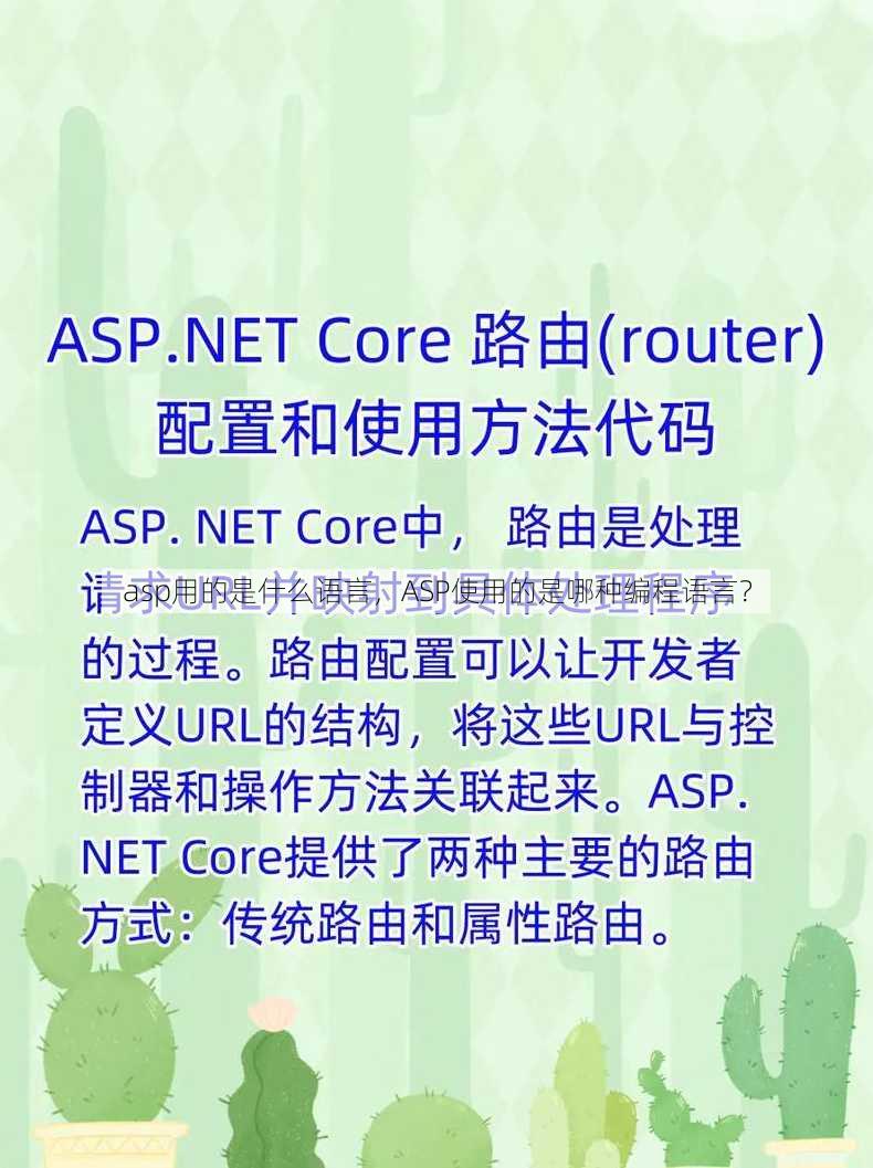 asp用的是什么语言