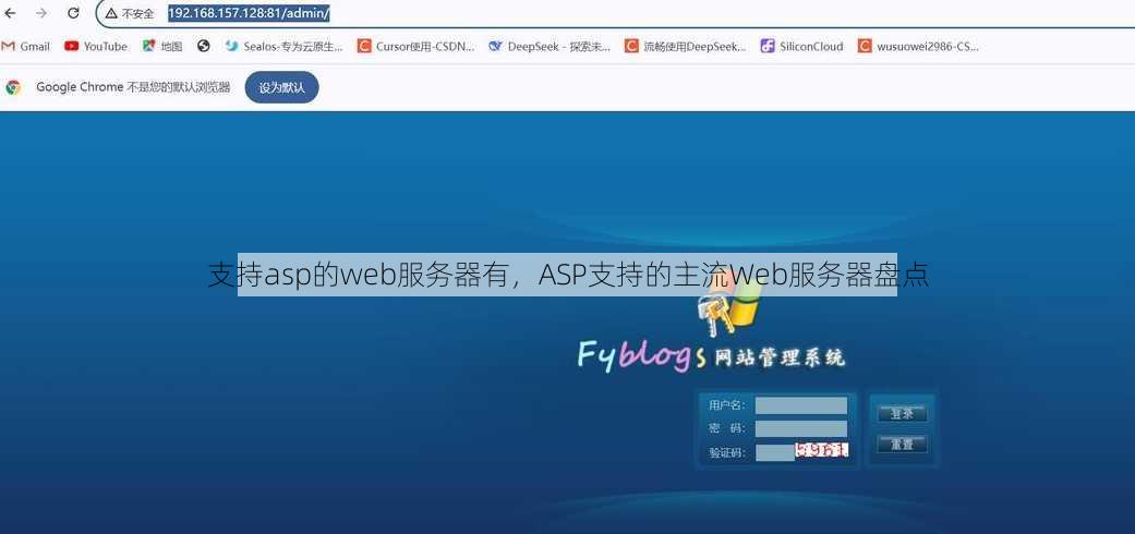 支持asp的web服务器有