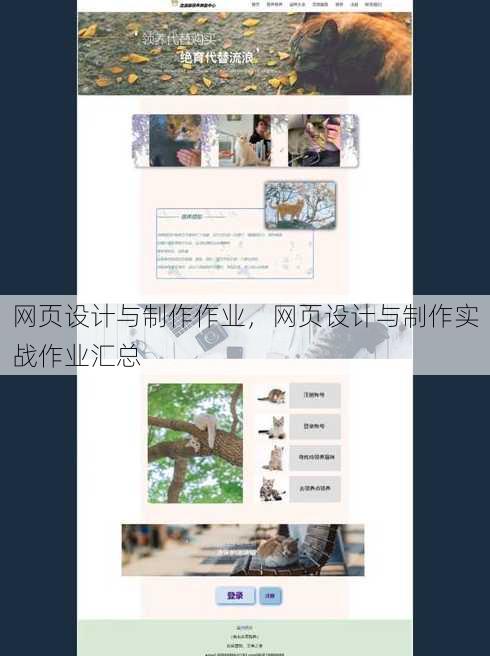 网页设计与制作作业