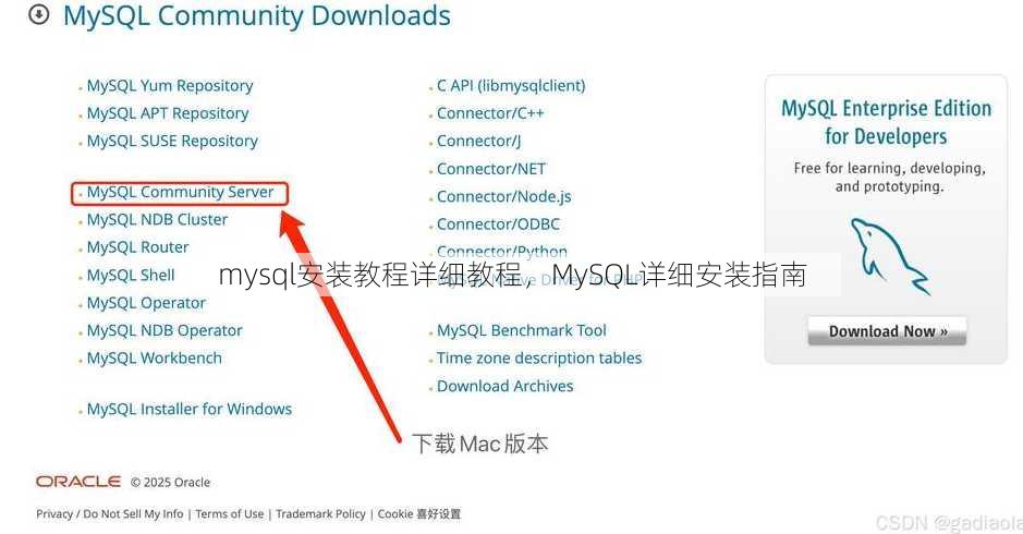 mysql安装教程详细教程