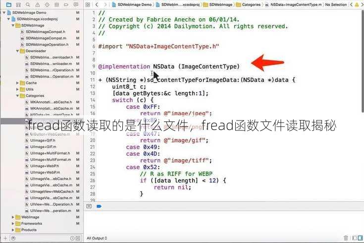fread函数读取的是什么文件