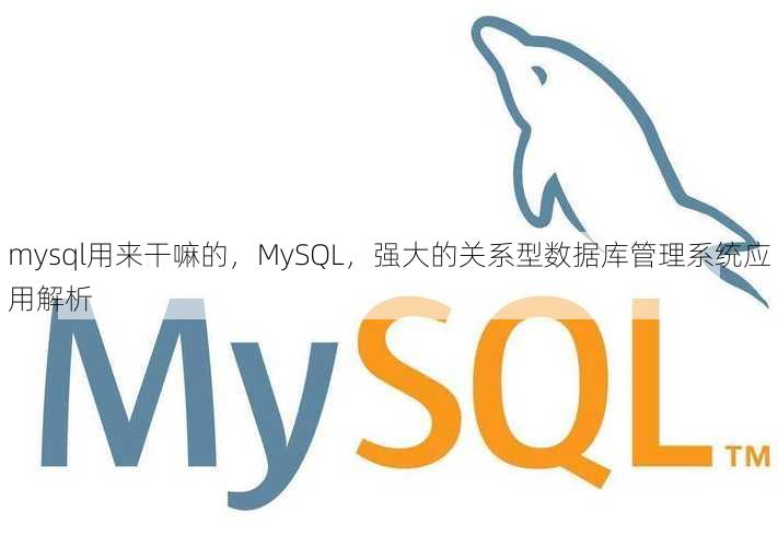 mysql用来干嘛的