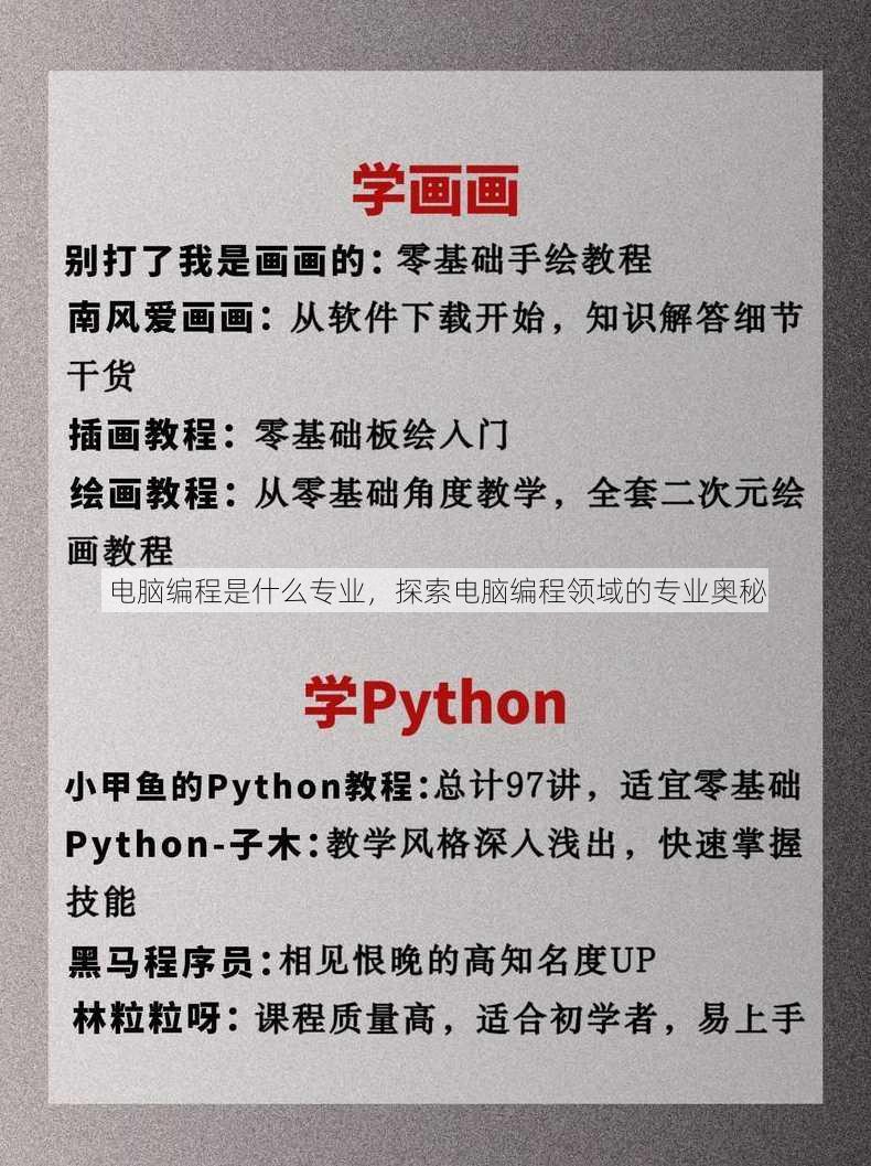 电脑编程是什么专业