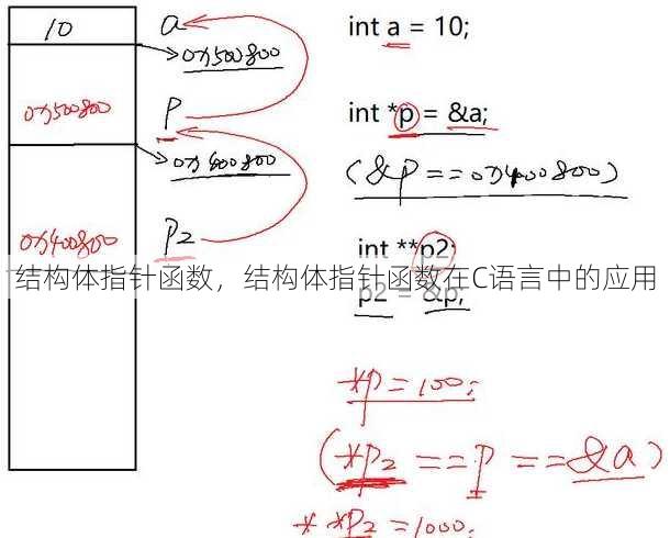 结构体指针函数