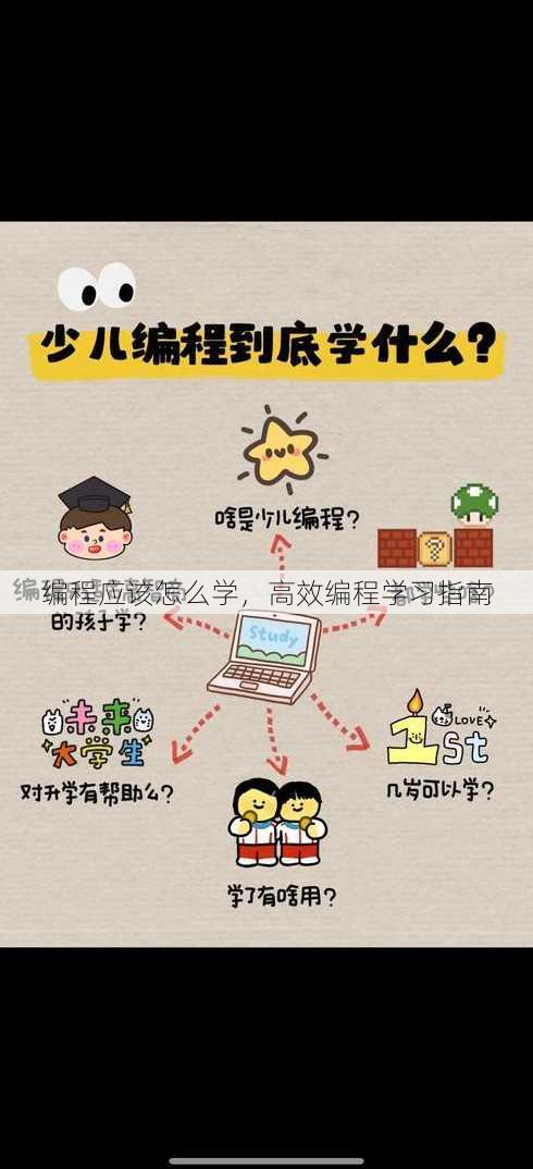 编程应该怎么学