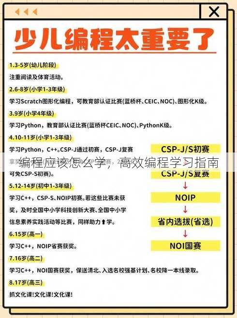 编程应该怎么学