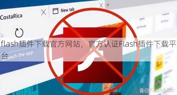flash插件下载官方网站
