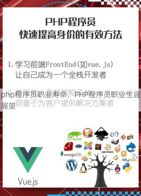 php程序员职业寿命