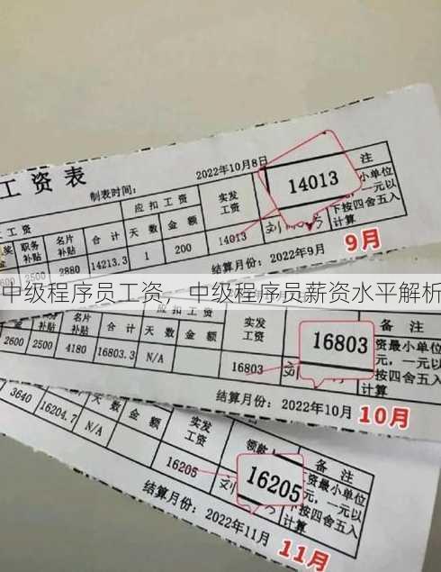 中级程序员工资