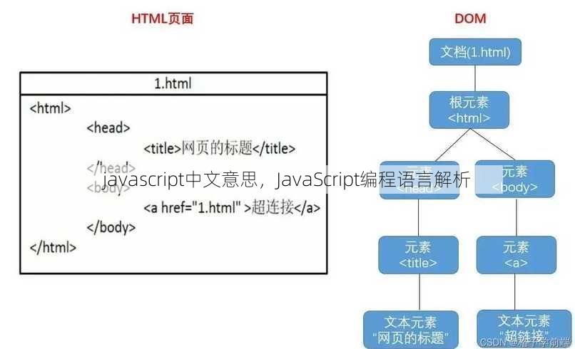 javascript中文意思