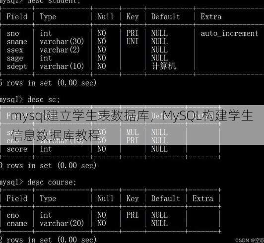 mysql建立学生表数据库