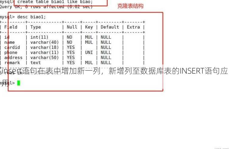 insert语句在表中增加新一列