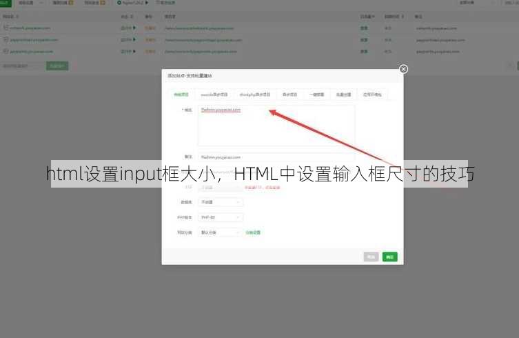 html设置input框大小