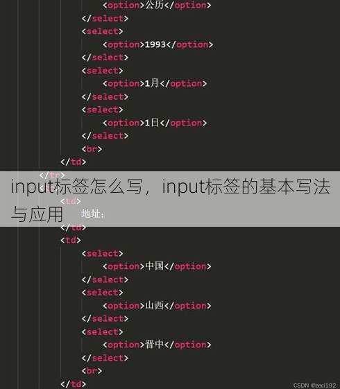 input标签怎么写