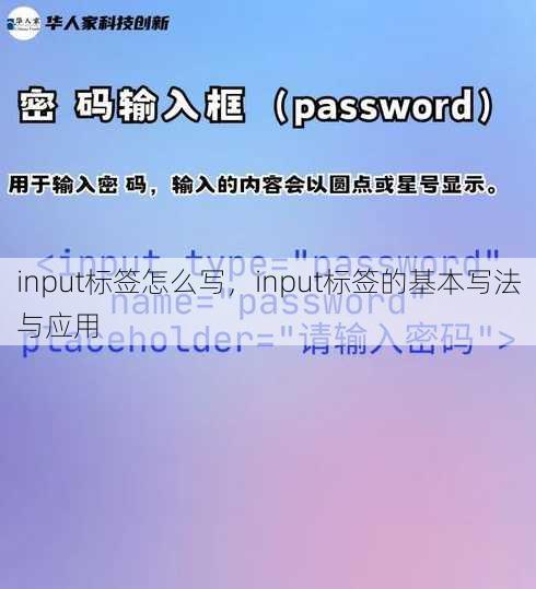 input标签怎么写