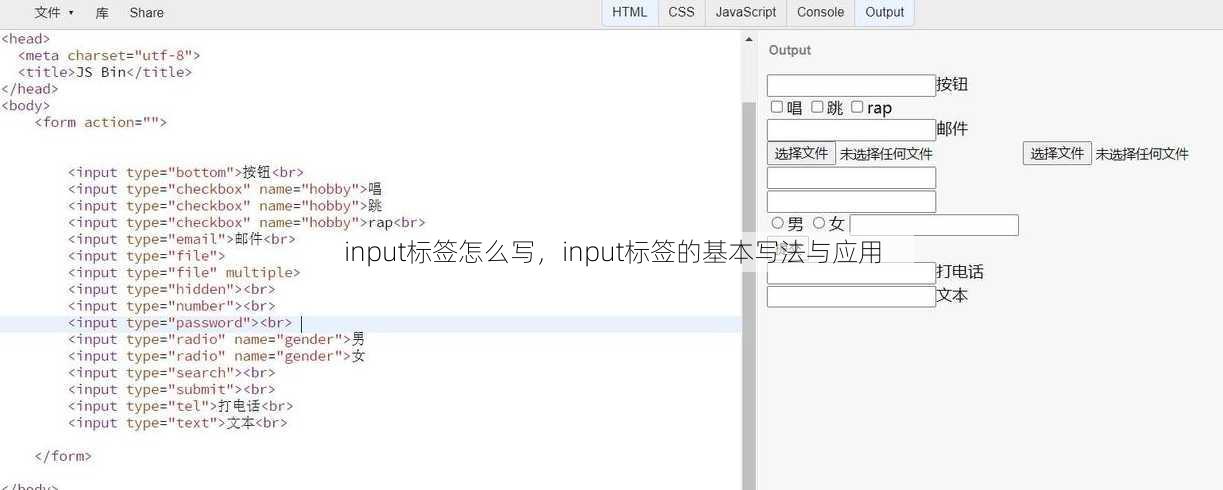 input标签怎么写