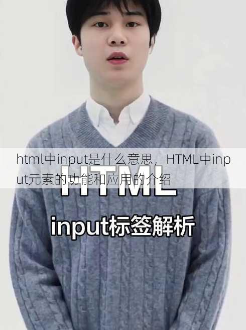 html中input是什么意思