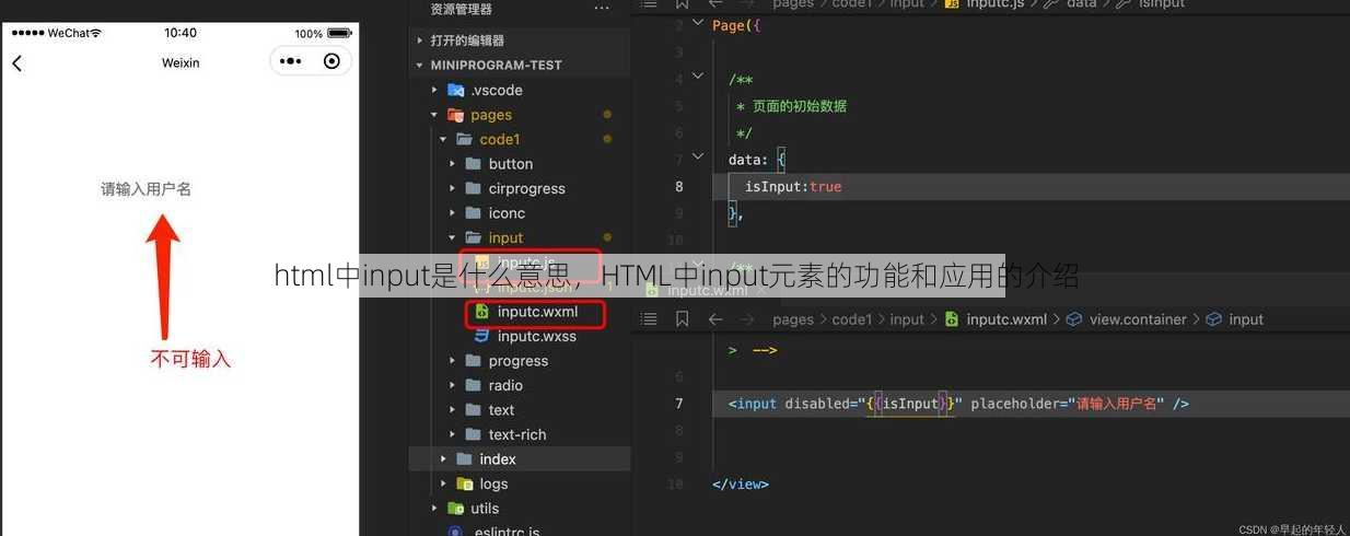 html中input是什么意思