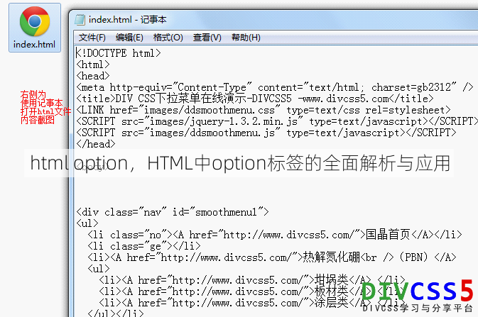 html option