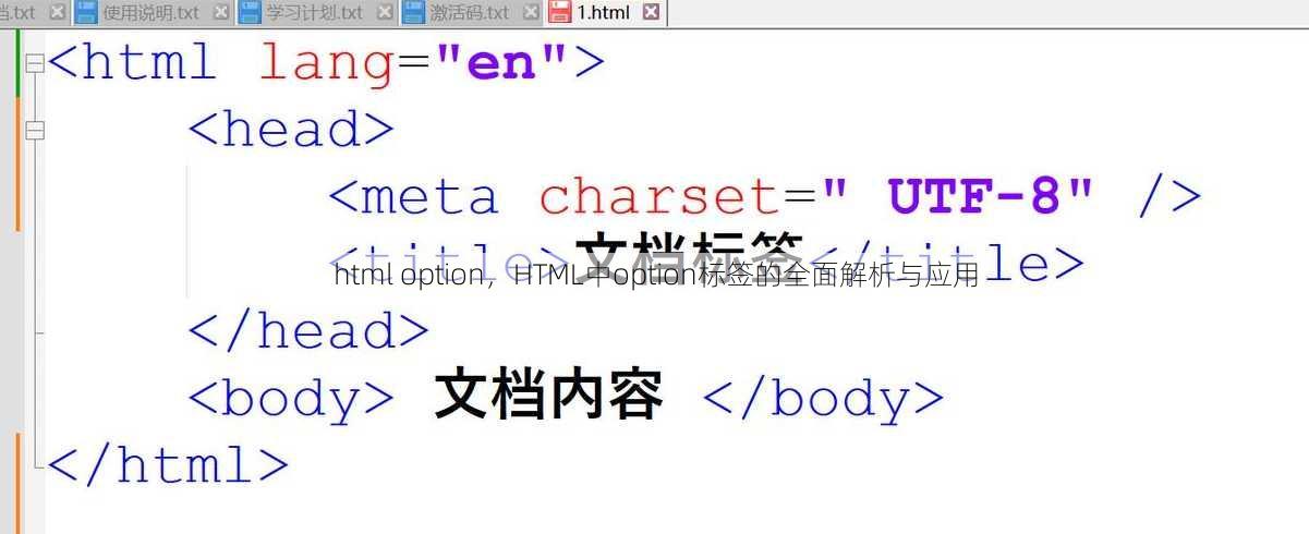 html option