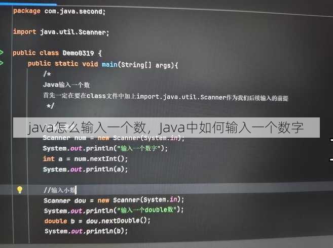 java怎么输入一个数