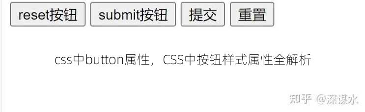 css中button属性