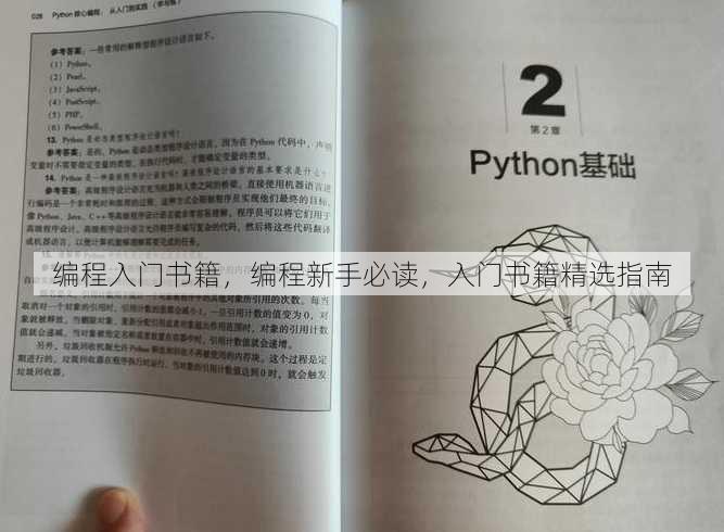 编程入门书籍，编程新手必读，入门书籍精选指南