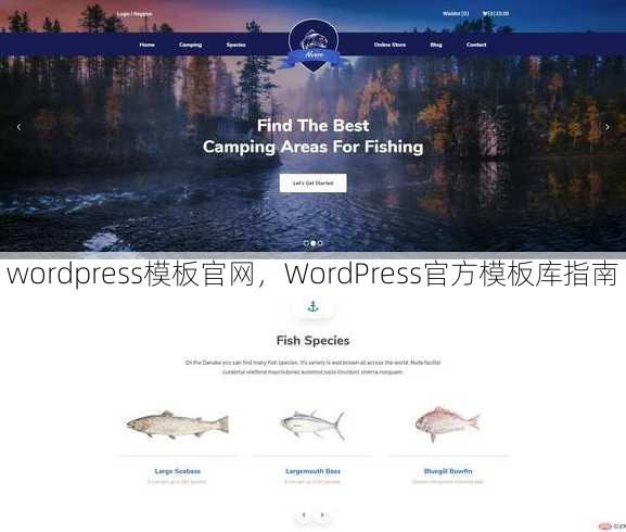 wordpress模板官网