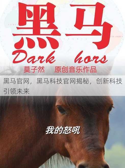 黑马官网