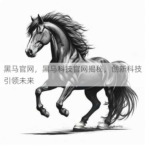 黑马官网
