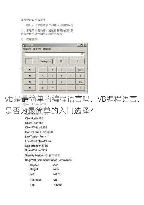 vb是最简单的编程语言吗，VB编程语言，是否为最简单的入门选择？
