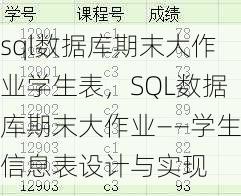 sql数据库期末大作业学生表