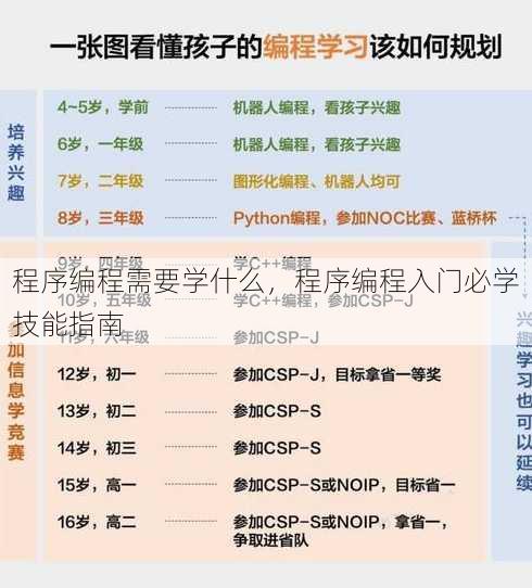 程序编程需要学什么