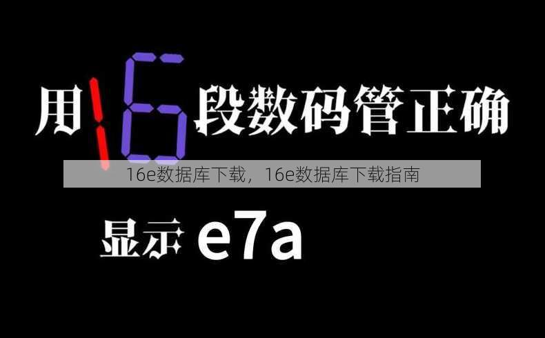 16e数据库下载