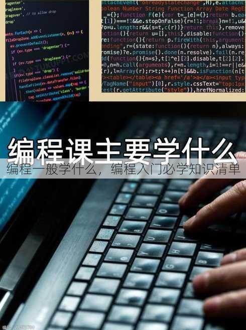 编程一般学什么