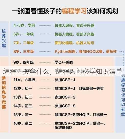 编程一般学什么