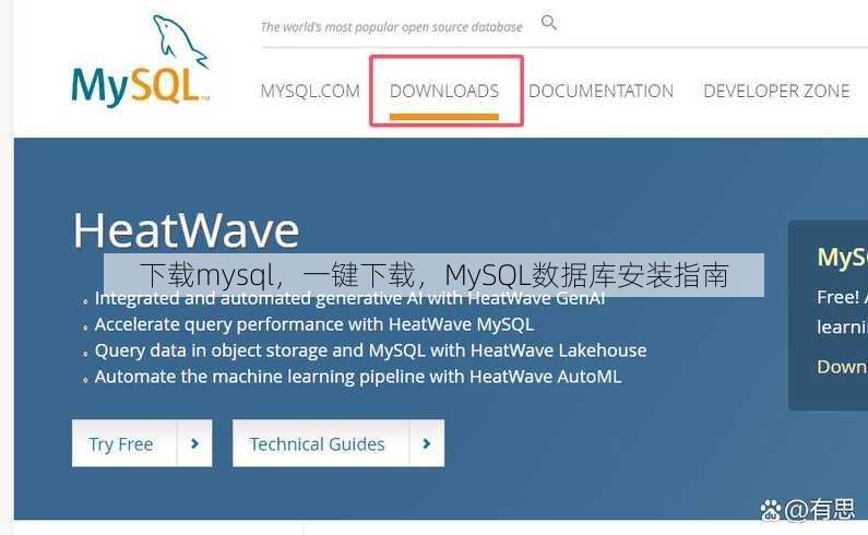 下载mysql