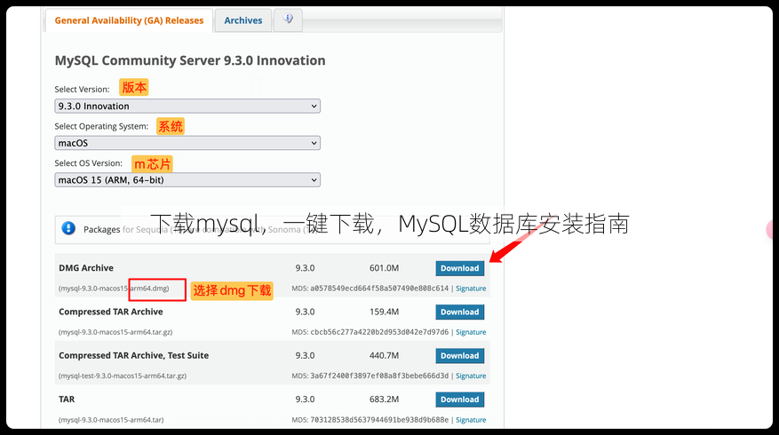 下载mysql